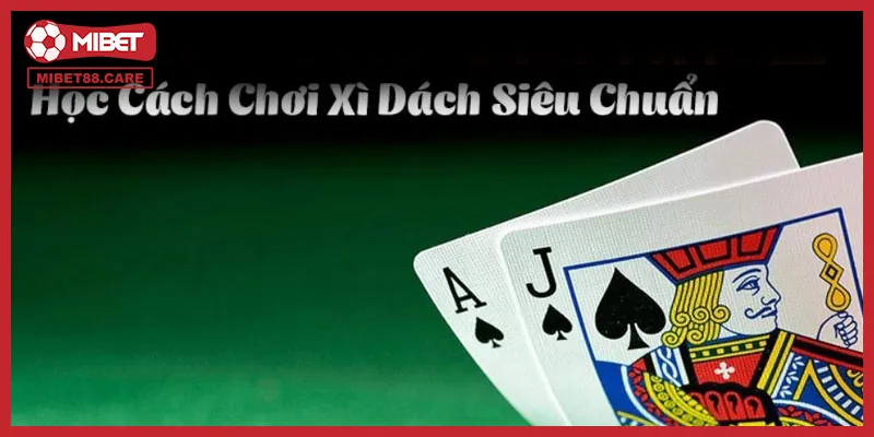 Những điều bạn chưa biết về xì dách