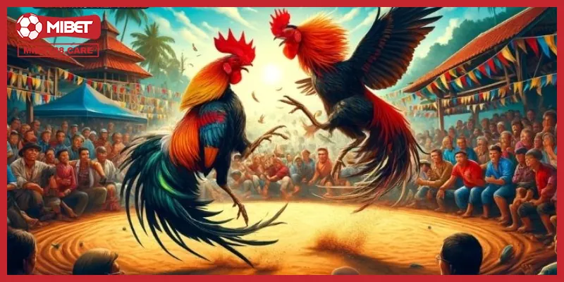 Phân tích tỷ lệ cược để tối ưu hóa cơ hội chiến thắng