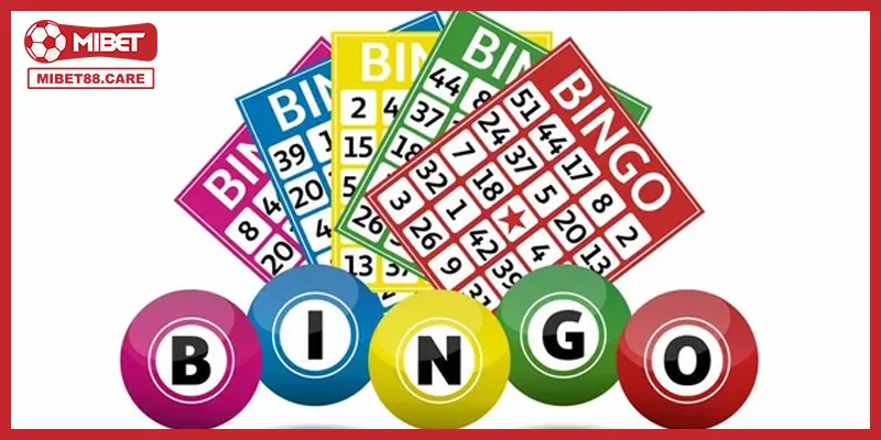 Tổng quan về xổ số Bingo